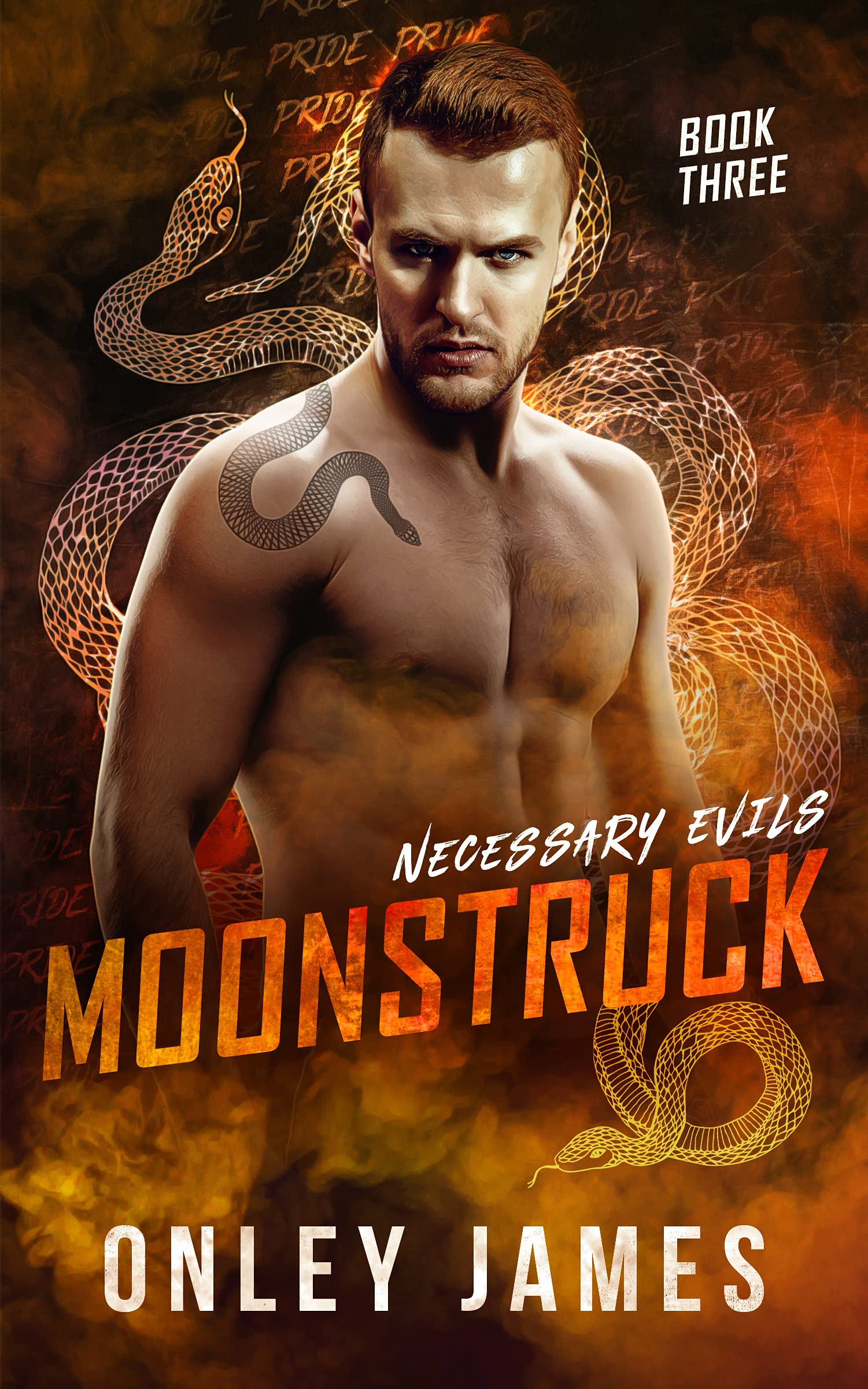 Moonstruck (Necessary Evils #3)