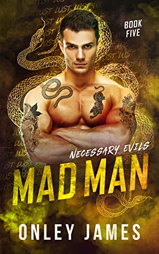 Mad Man (Necessary Evils, #5)